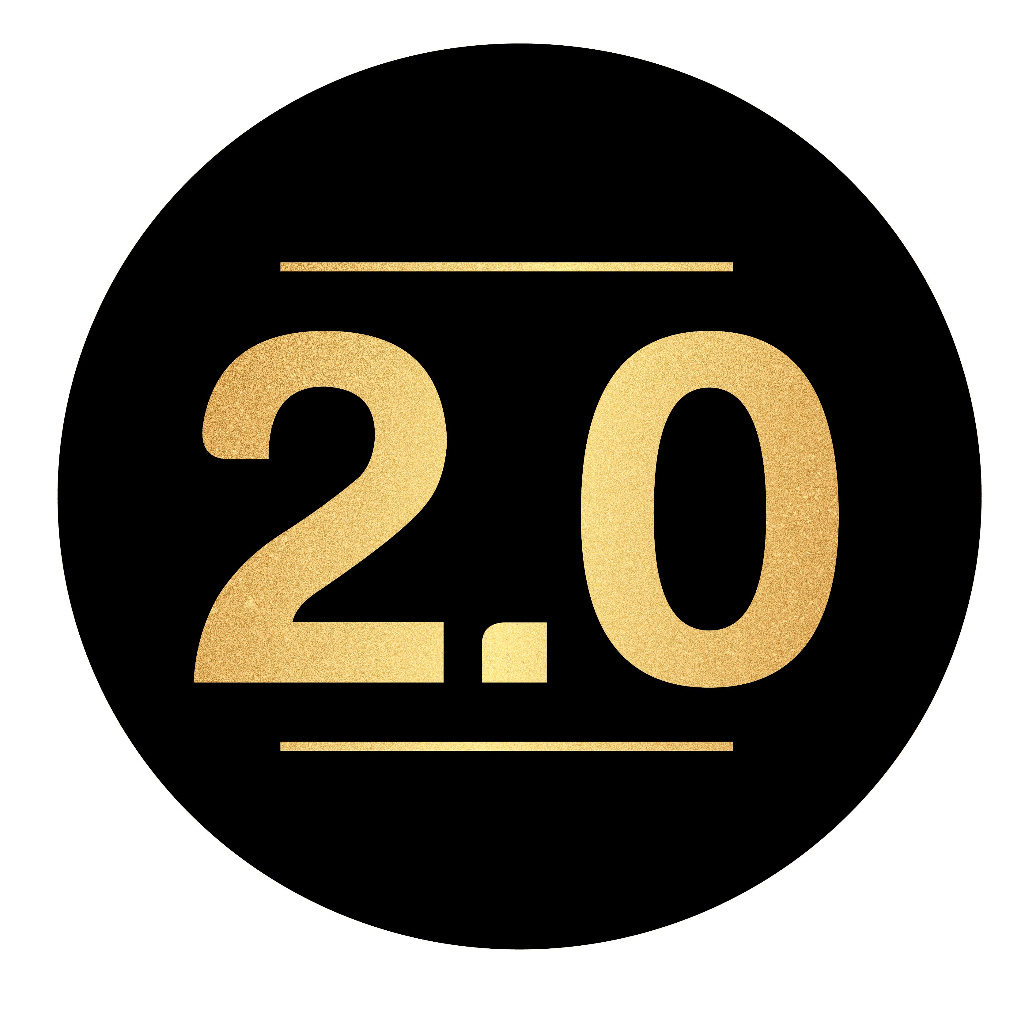 2.0 INTERIM