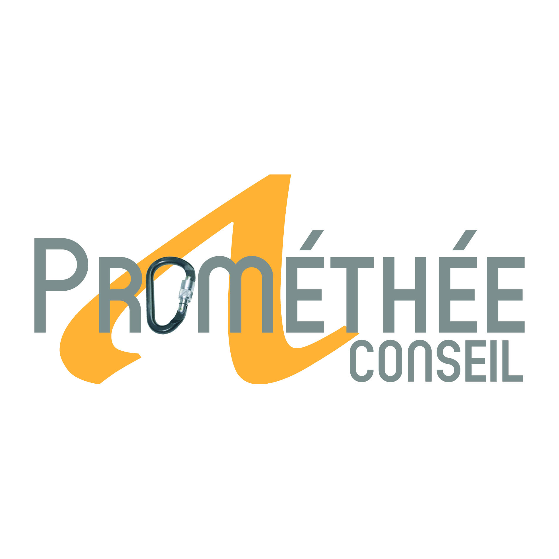 PROMETHEE CONSEIL
