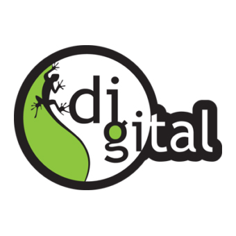 DIGITAL CLIMBING HOLDS