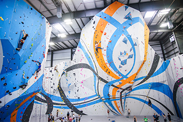 WALLTOPIA