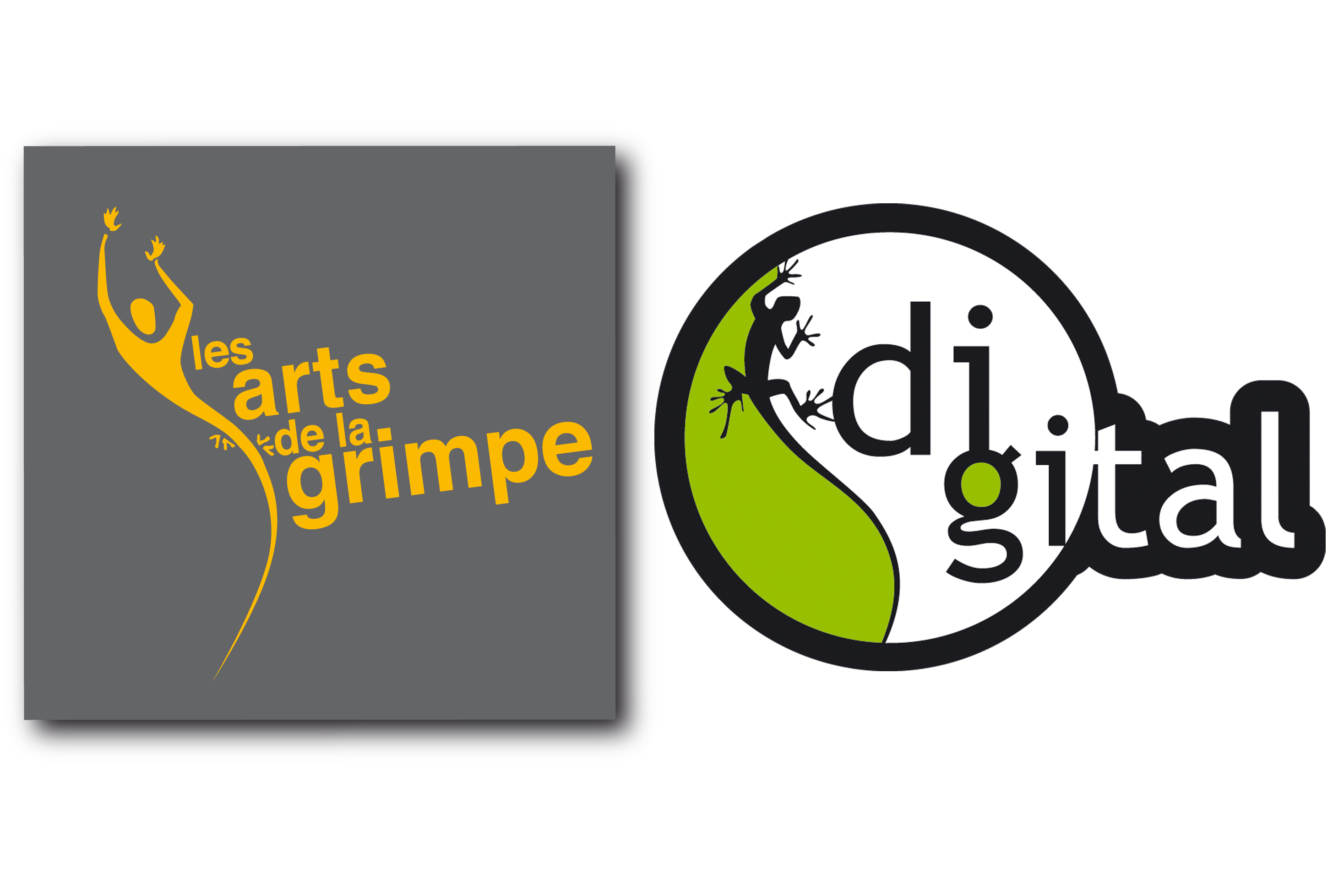 LES ARTS DE LA GRIMPE