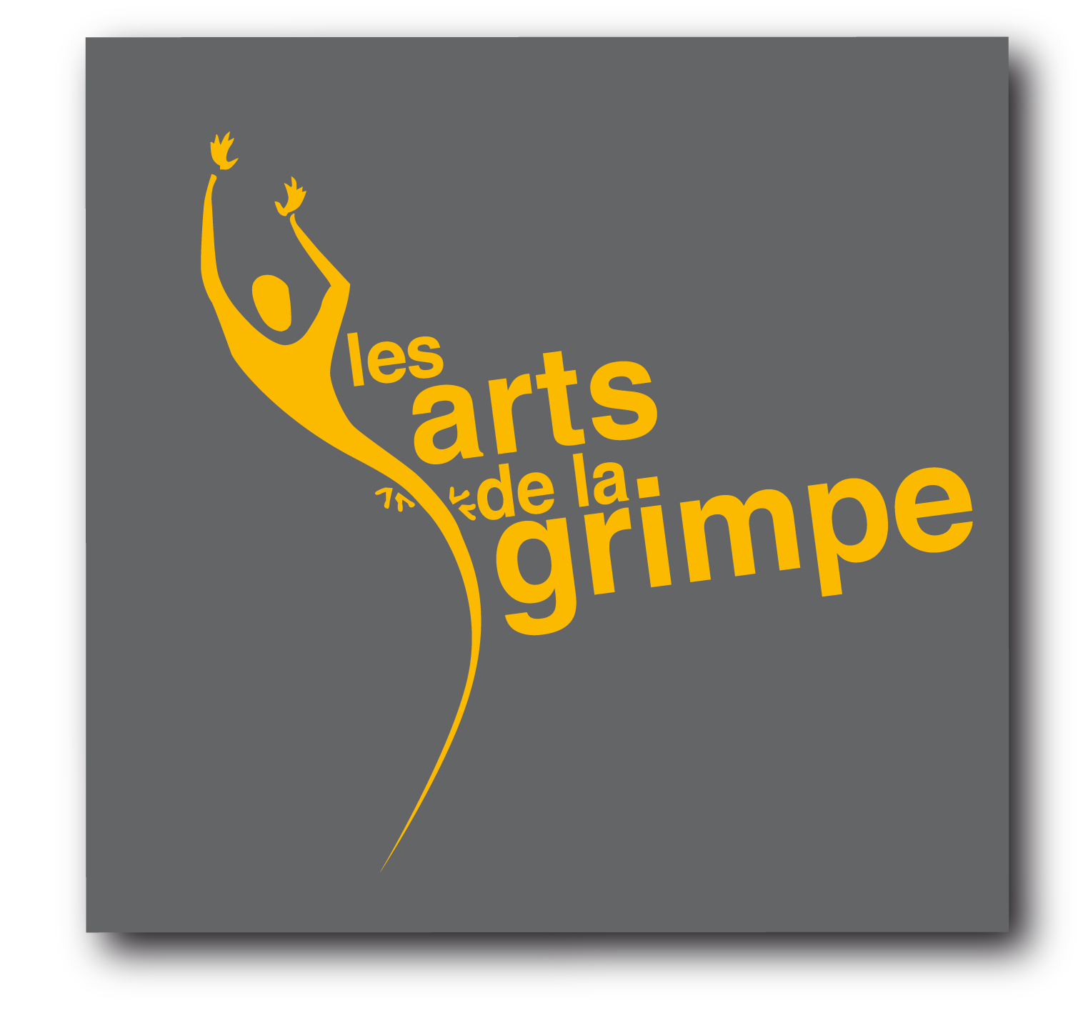 LES ARTS DE LA GRIMPE