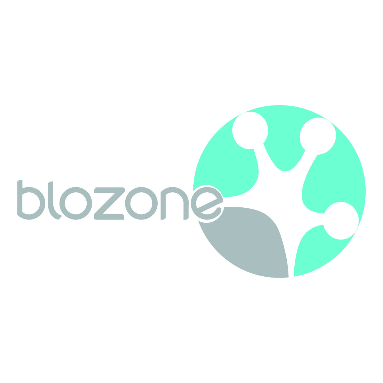 BLOZONE