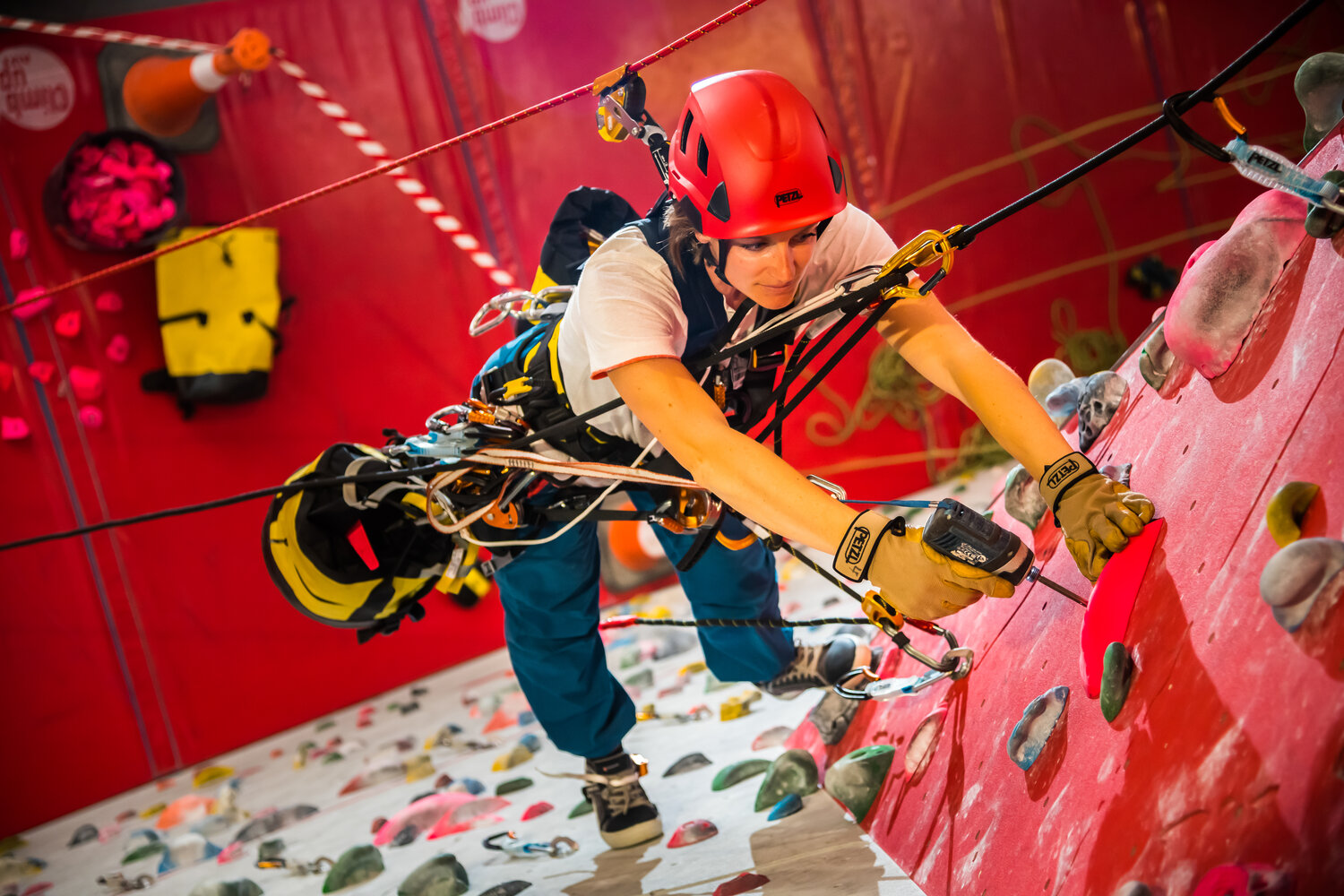 PETZL PROFESSIONNEL