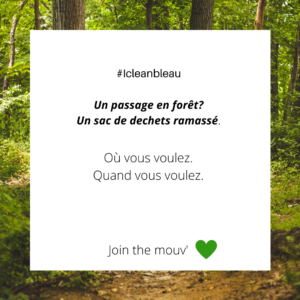 #icleanbleau est un mouvement initié par Bleausard pour alléger la forêt de ses déchet lors de chaque passage : une séance à Bleau, un sac de déchet ramassé. 